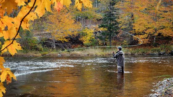 salmon river fishing is at its best in spring after spawning