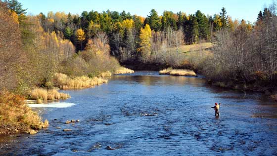 best place for salmon fishing in Canada is the Miramichi River