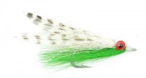 Clousers Minnow lure