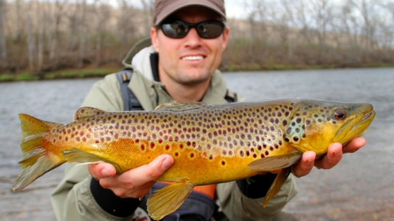 how to catch brown trout in winter and best bait