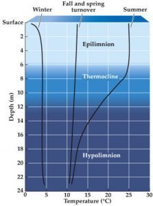 thermocline diagram