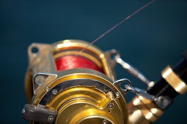 Fishing Tackle – Corrosion