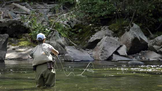 leaders for fly fishing