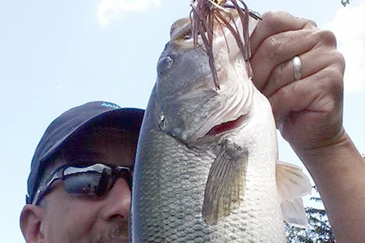 Florida Largemouth Bass Facts