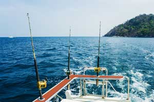 Striped Bass Deep Water Fishing