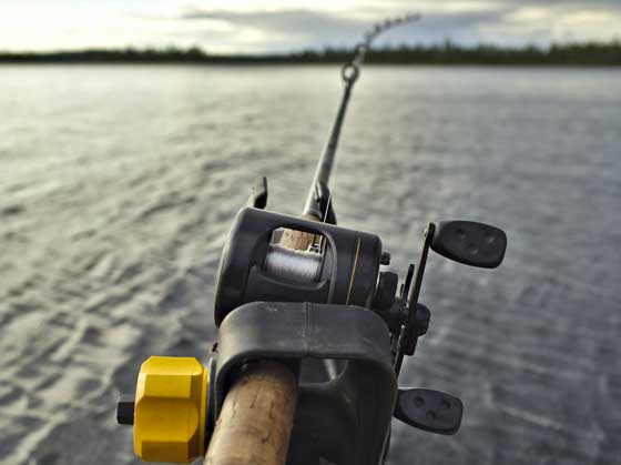 Chinook (King) Salmon Summer Fishing