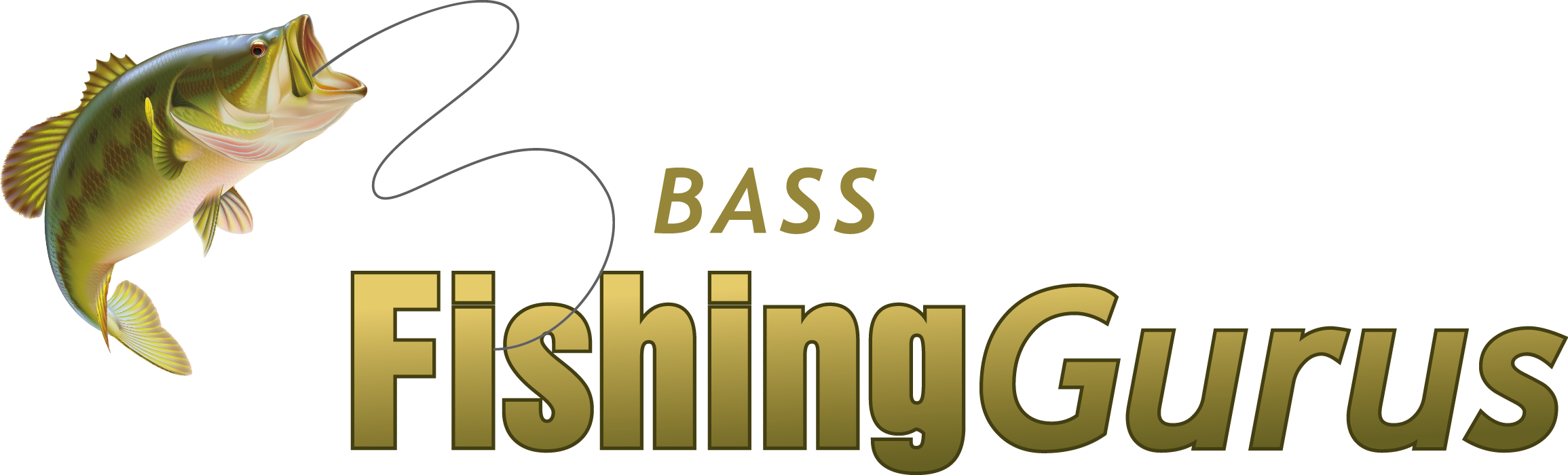 Striped Bass Autumn Fishing